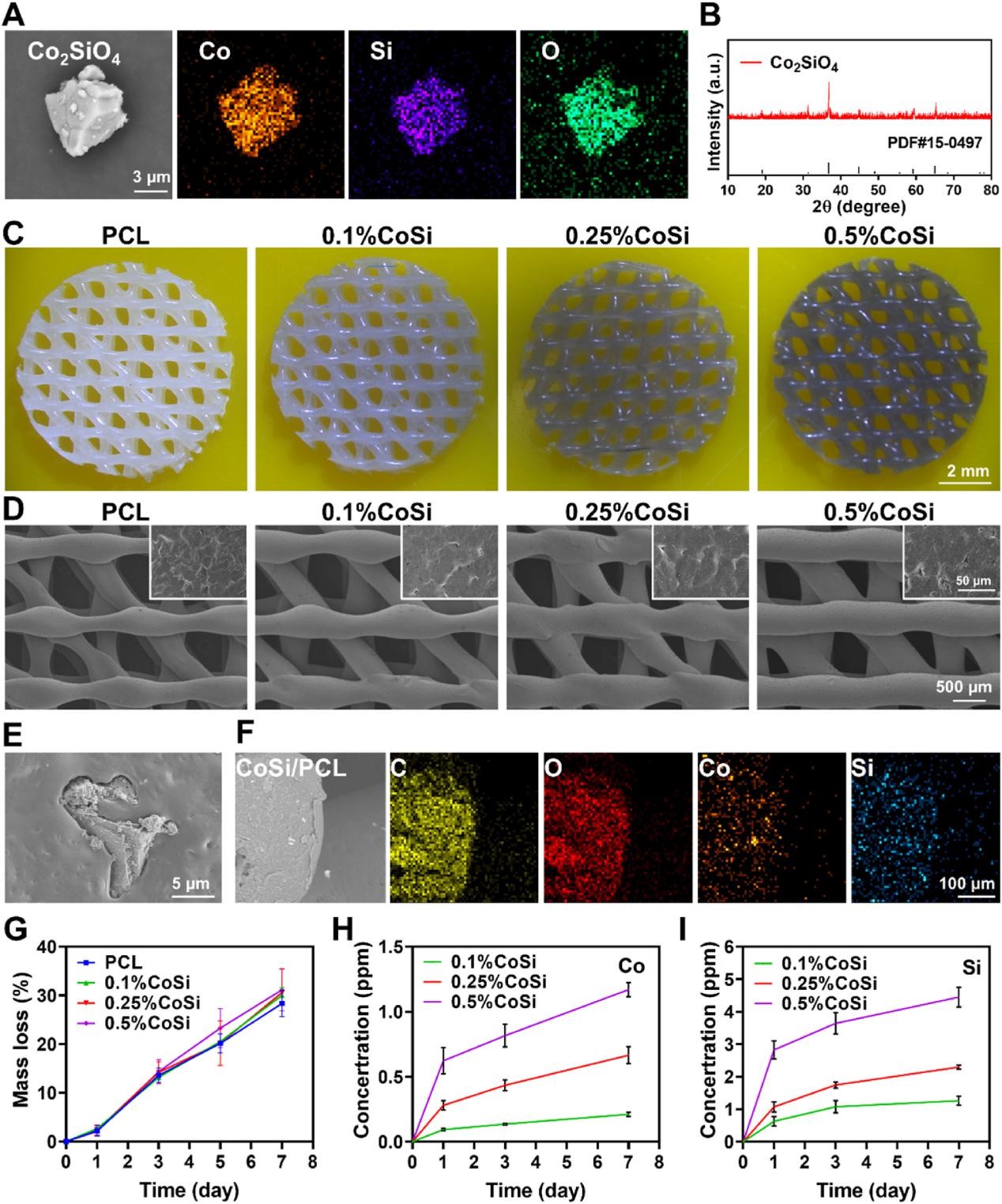 聯合發表具有NIR-II光熱能力和增強成脂活性的3D打印CoSi/PCL復合支架用于乳房切除術后的乳房重建
