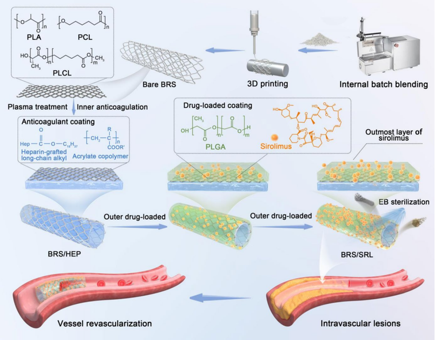 鄭大附屬第一醫院&河南駝人集團共同發表“雙功能表面設計對3D打印成型生物可吸收支架性能的影響”